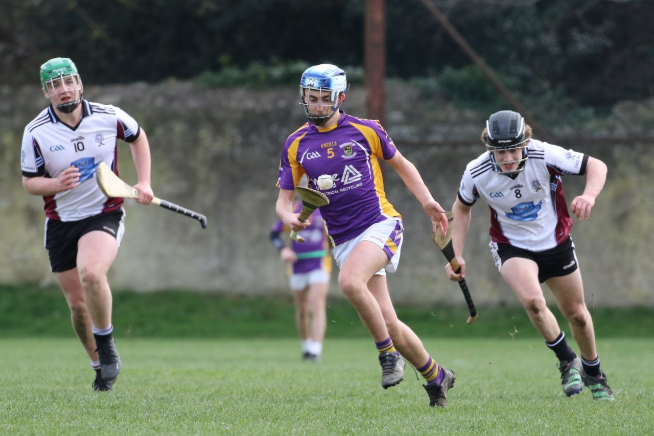 Minor Hurling League Div.4 vs Good Counsel Liffey Gaels