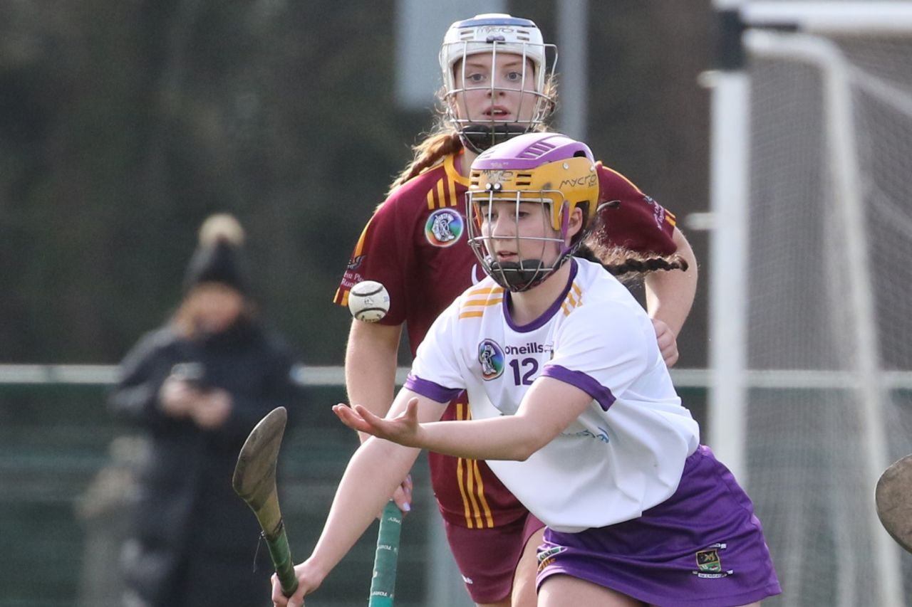 Camogie Senior 1 League vs ST OLIVER PLUNKETT