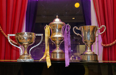 Our All Ireland Club Senior Football Champions Recognised with a DLR Council Civic Reception