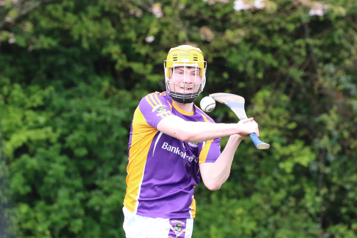 Adult Hurling League Division Seven vs Naomh Olafs