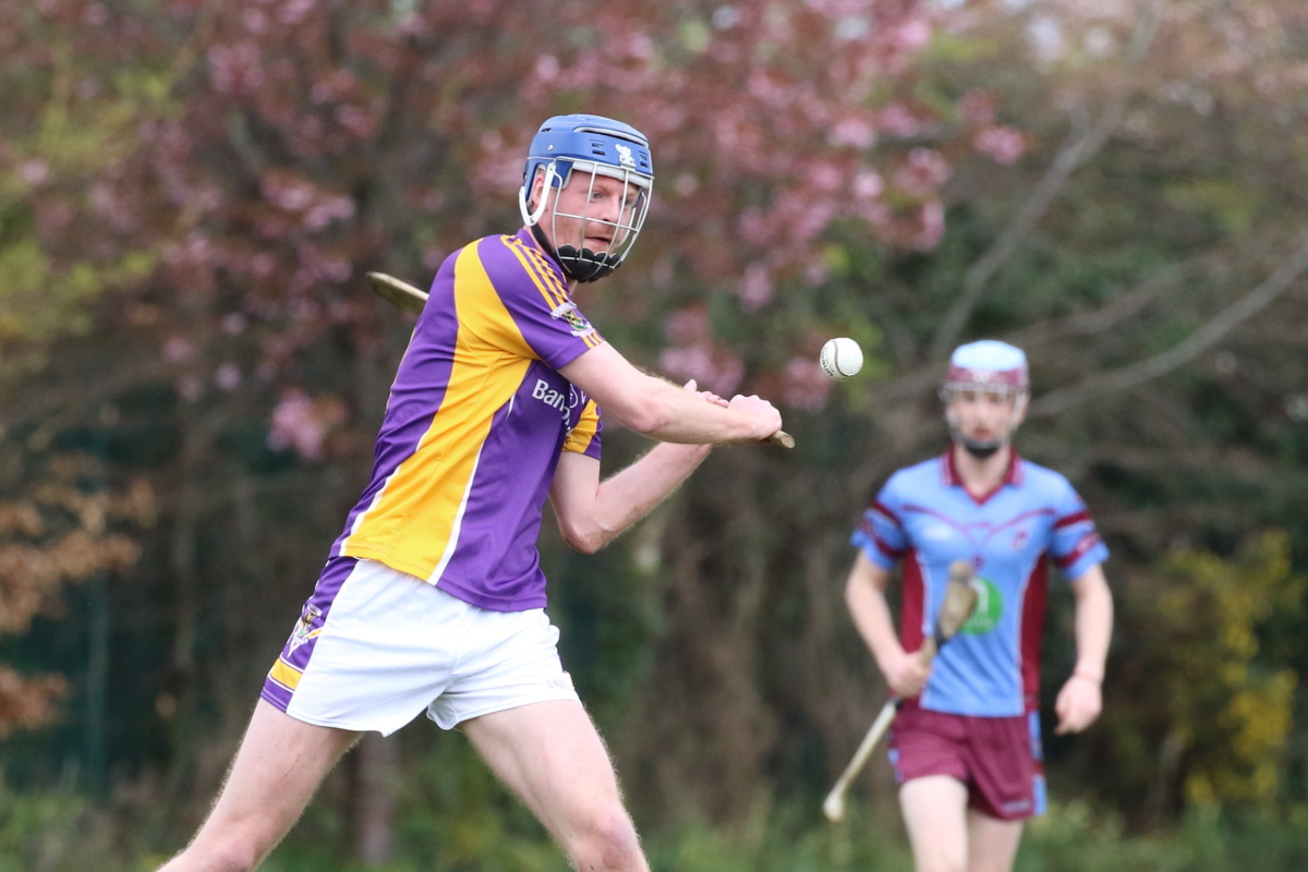 Adult Hurling League Division Seven vs Naomh Olafs