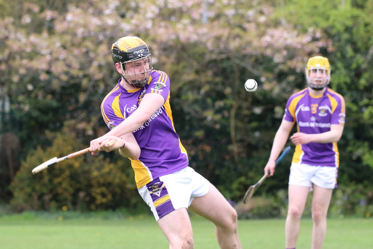 Adult Hurling League Division Seven vs Naomh Olafs