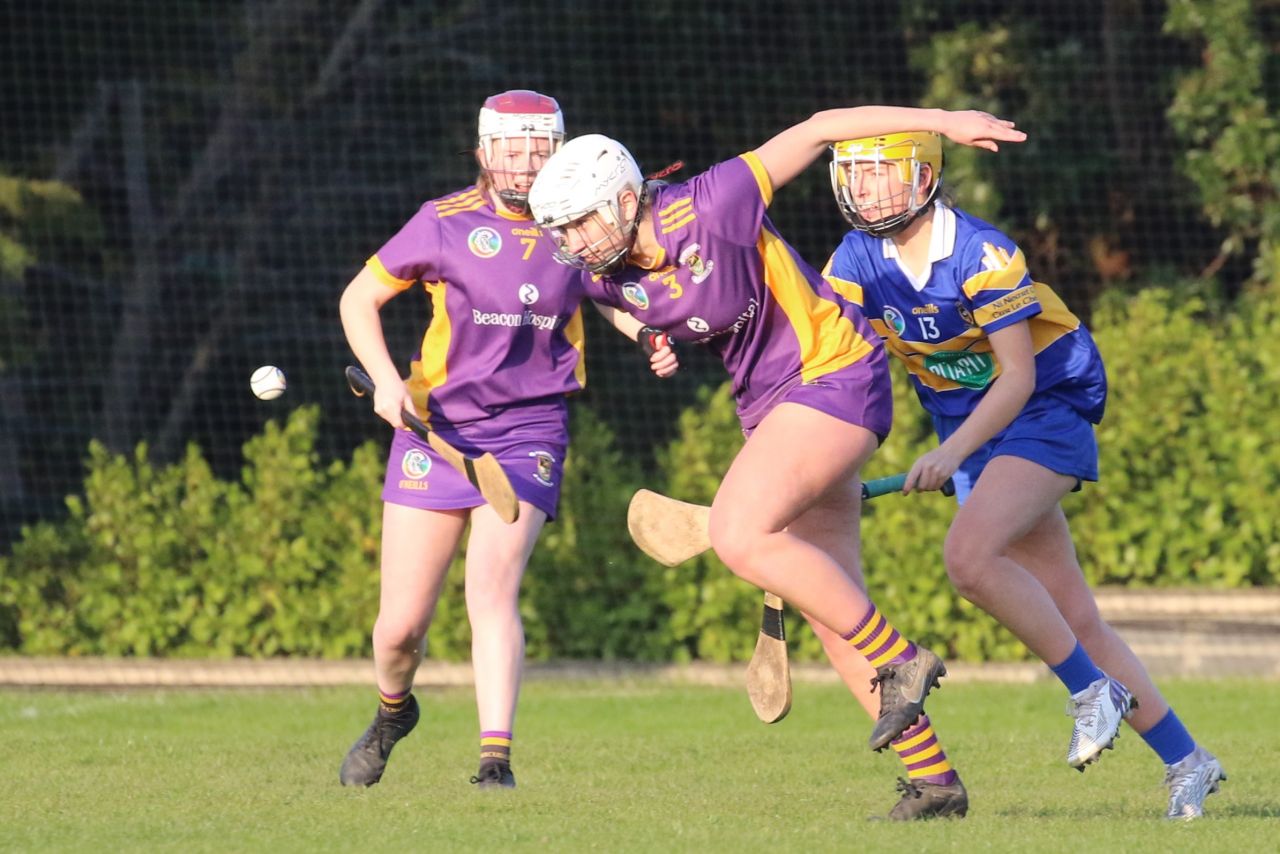 Camogie Senior 1 League vs Castleknock