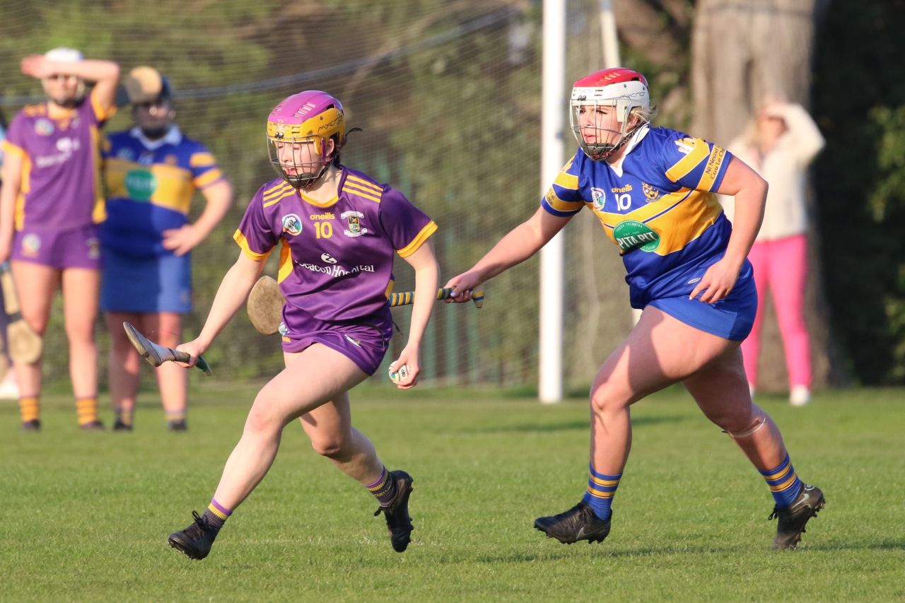 Camogie Senior 1 League vs Castleknock