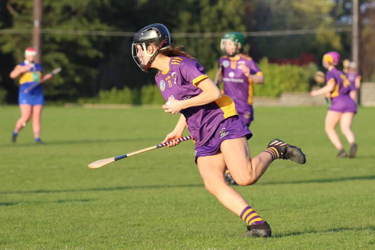 Camogie Senior 1 League vs Castleknock