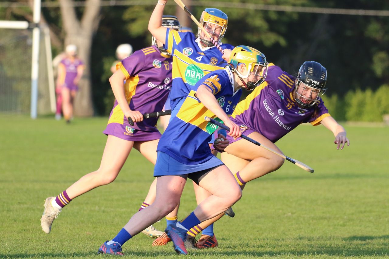 Camogie Senior 1 League vs Castleknock