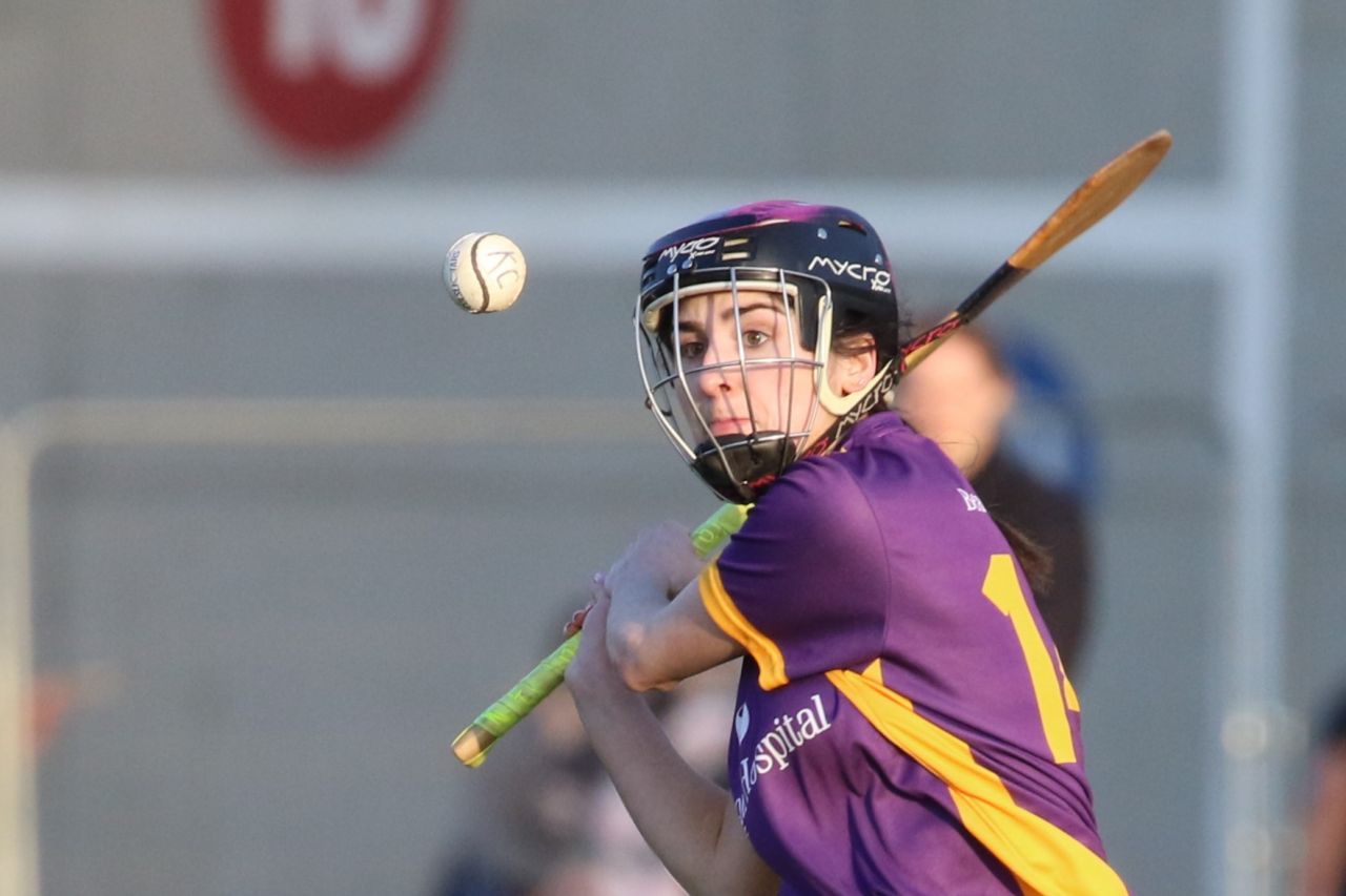 Camogie Senior 1 League vs Castleknock