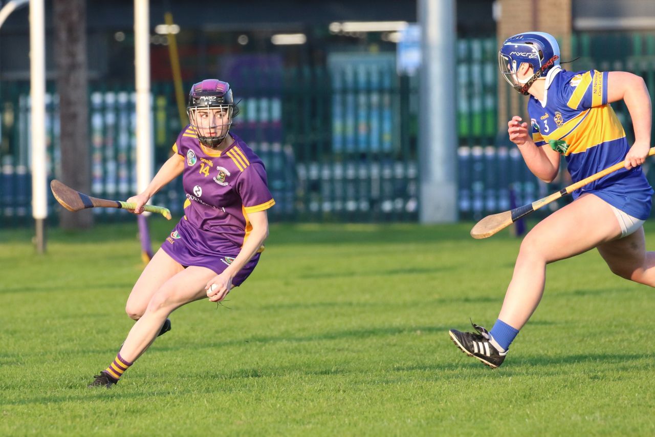 Camogie Senior 1 League vs Castleknock