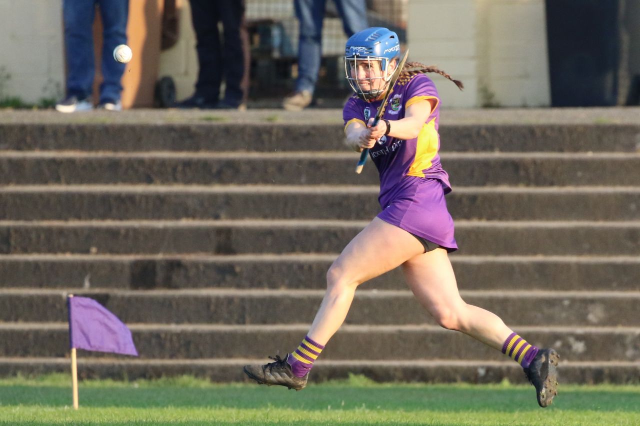 Camogie Senior 1 League vs Castleknock