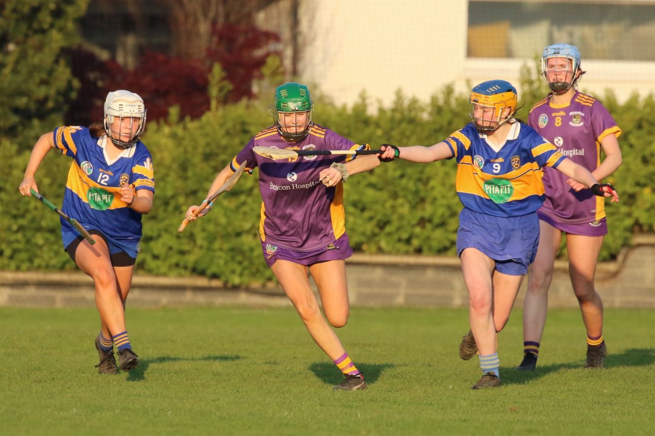 Camogie Senior 1 League vs Castleknock