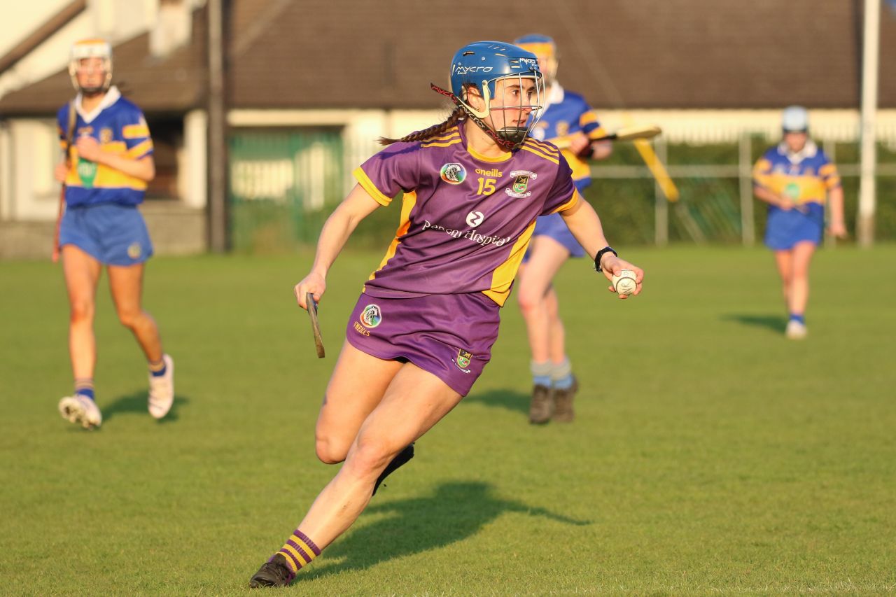 Camogie Senior 1 League vs Castleknock