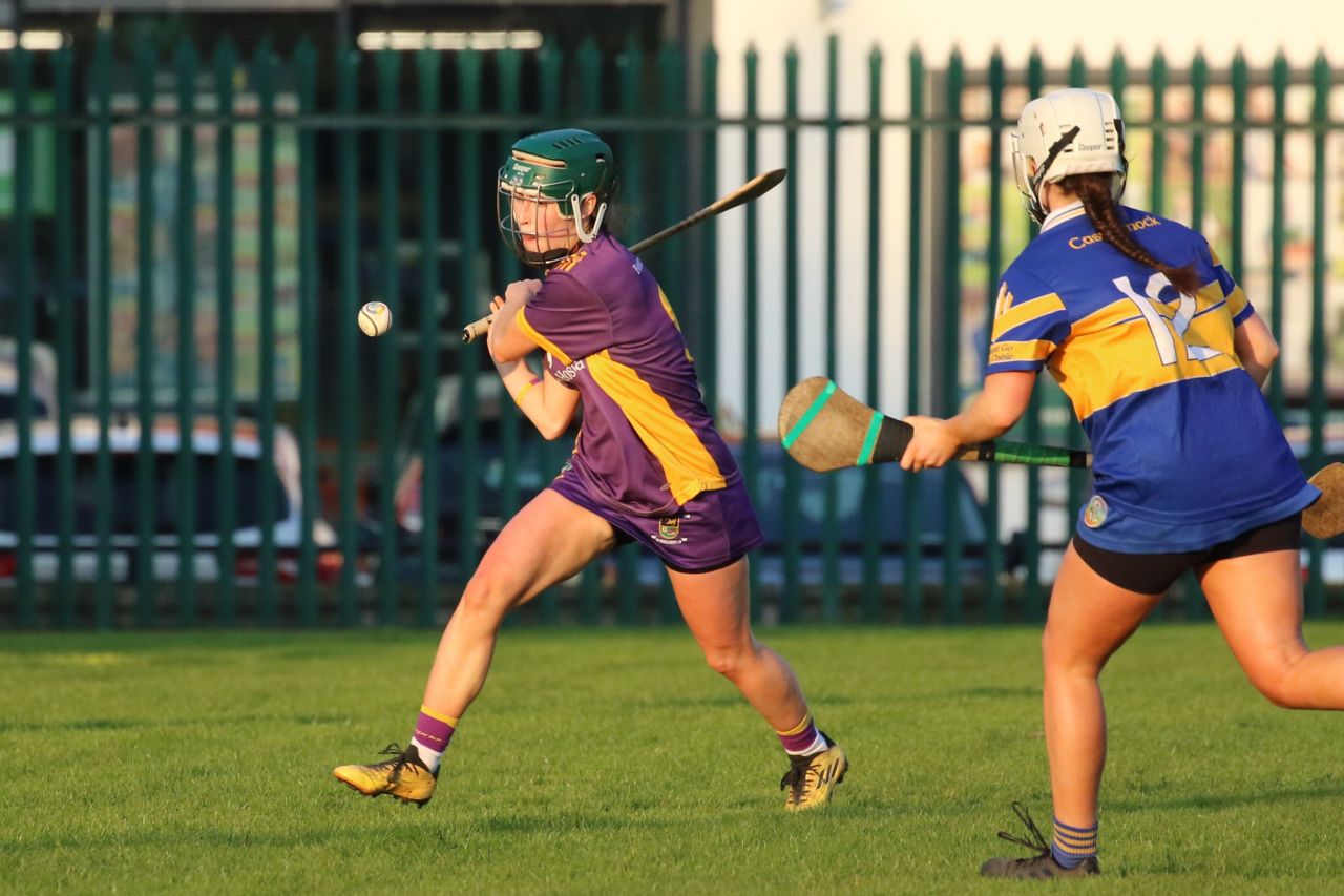 Camogie Senior 1 League vs Castleknock