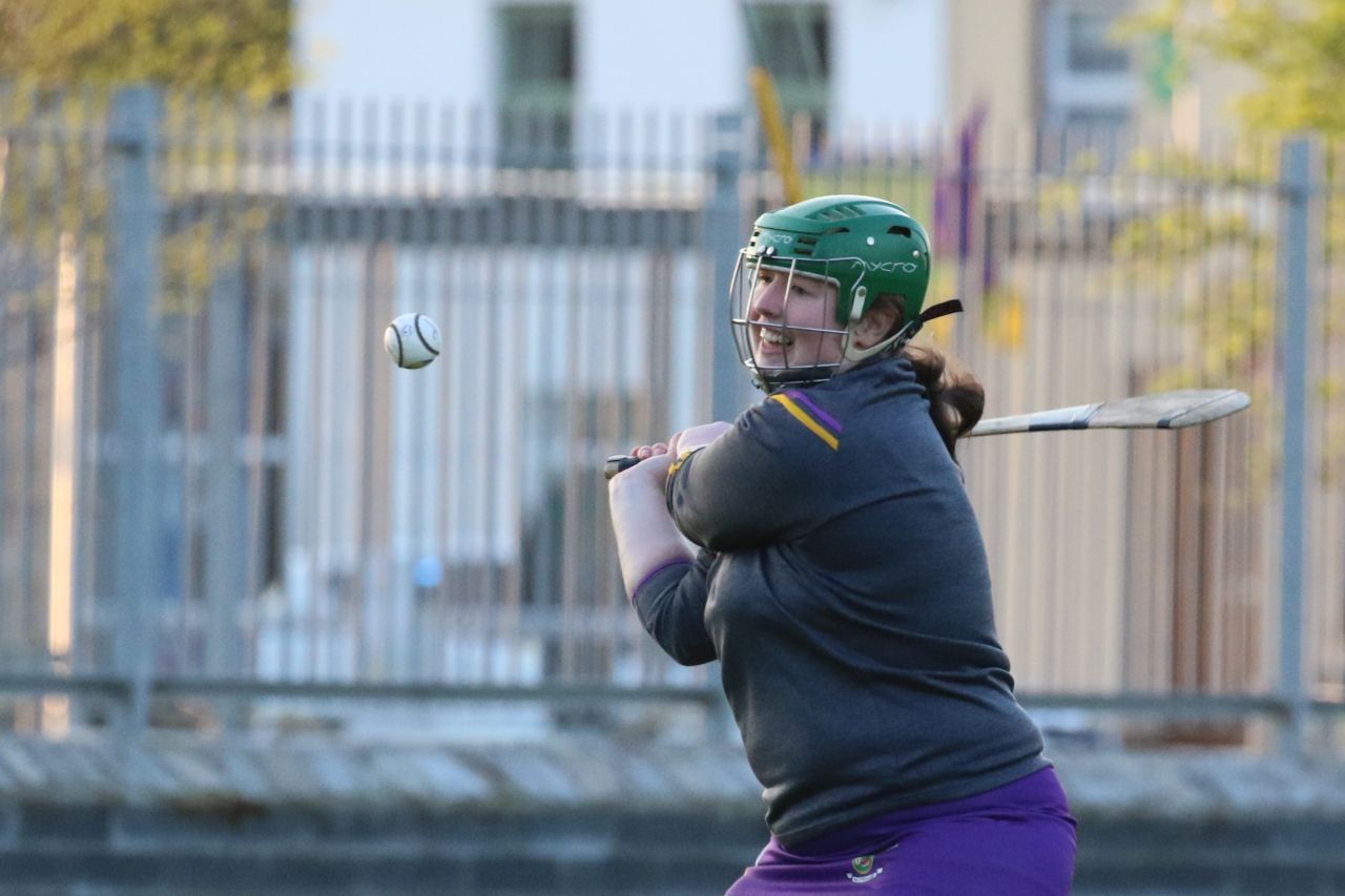 Camogie Senior 1 League vs Castleknock