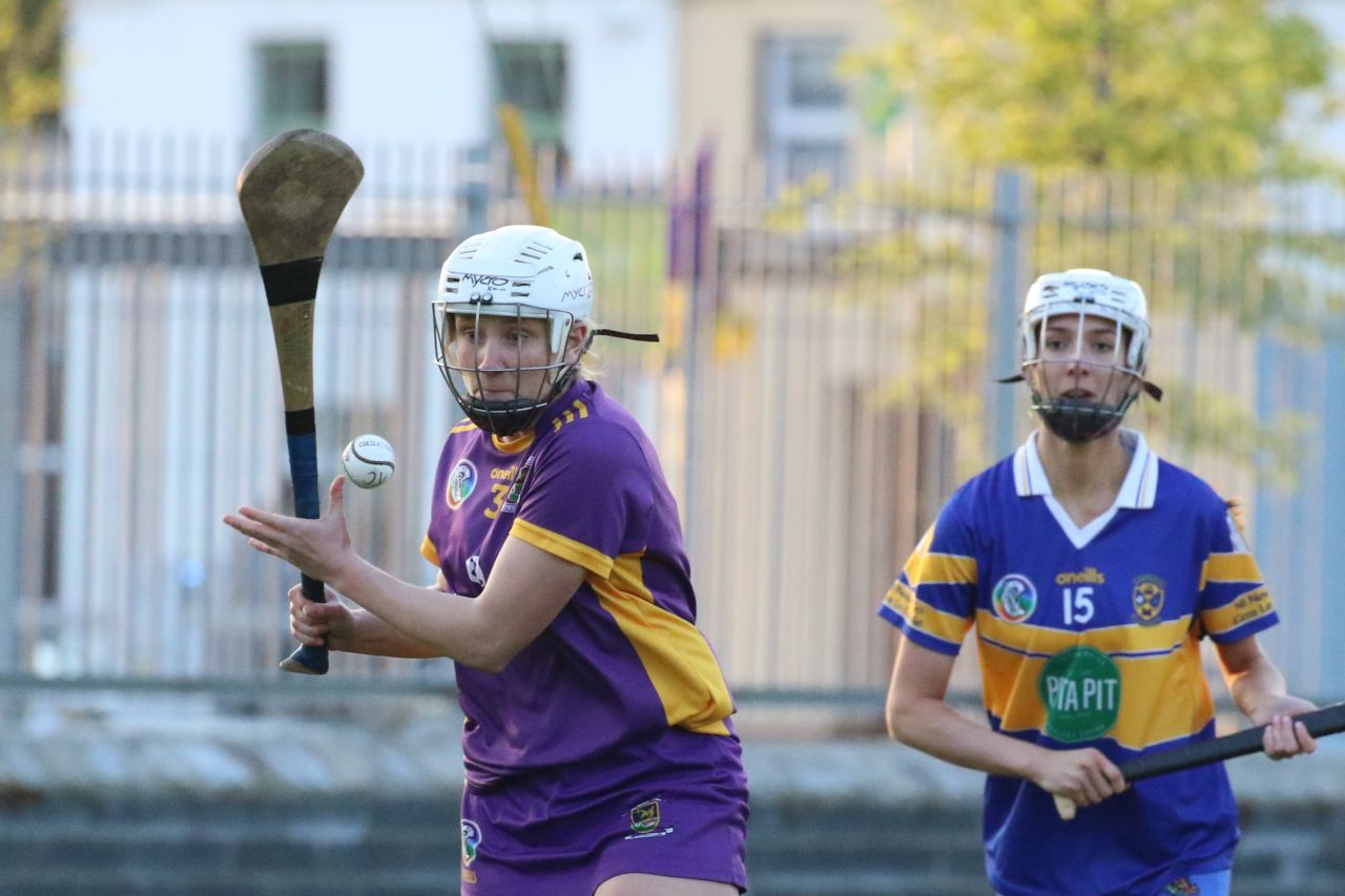 Camogie Senior 1 League vs Castleknock