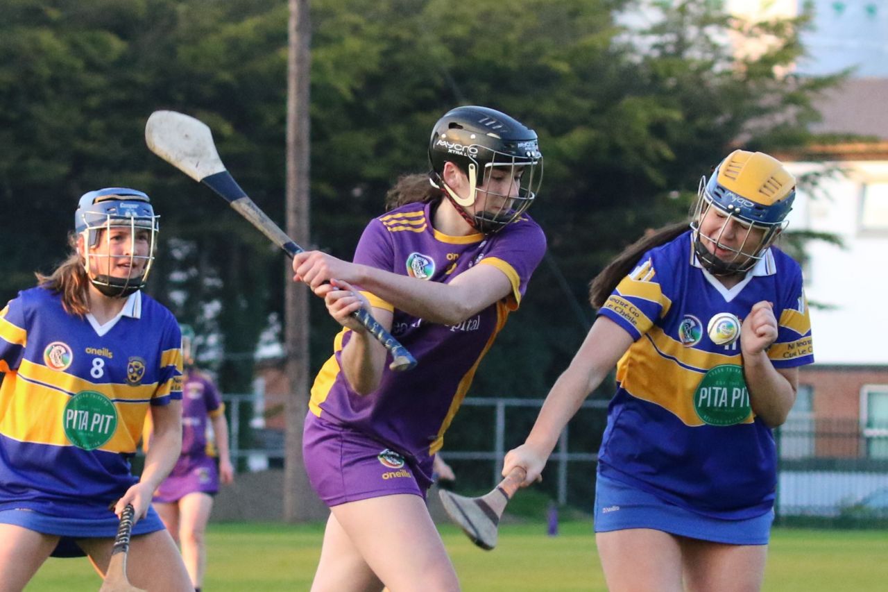 Camogie Senior 1 League vs Castleknock