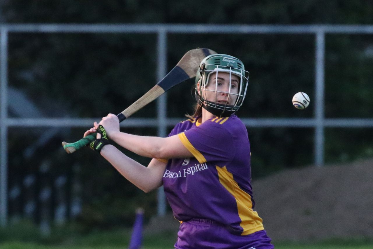 Camogie Senior 1 League vs Castleknock