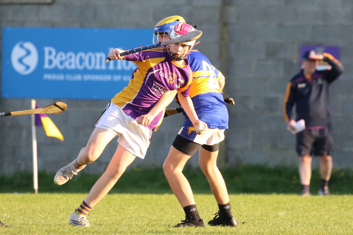 U16 Hurling League Div.6 vs Castleknock