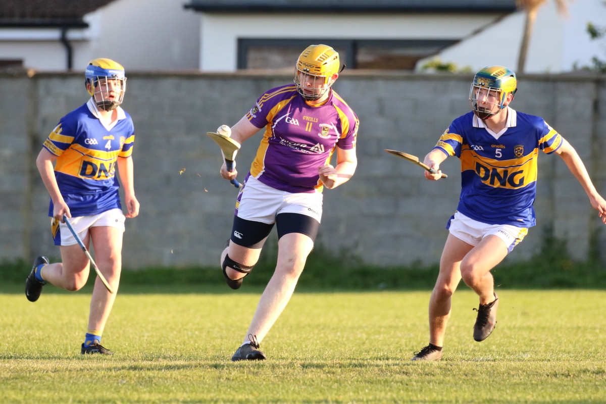 U16 Hurling League Div.6 vs Castleknock