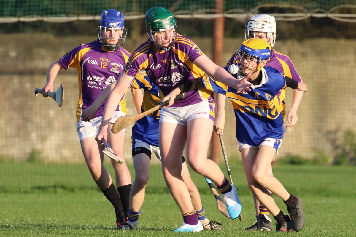 U16 Hurling League Div.6 vs Castleknock