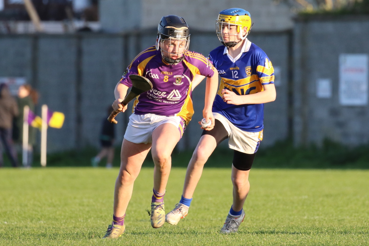 U16 Hurling League Div.6 vs Castleknock