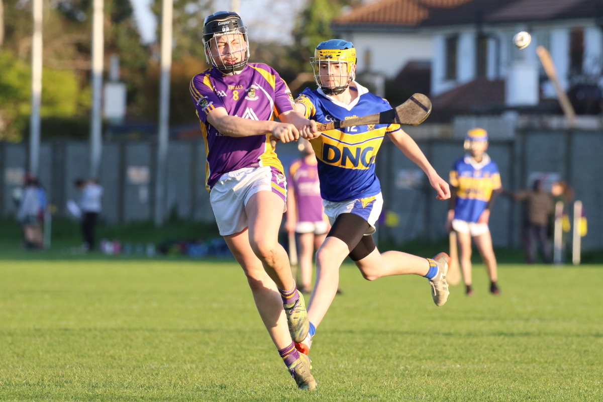 U16 Hurling League Div.6 vs Castleknock