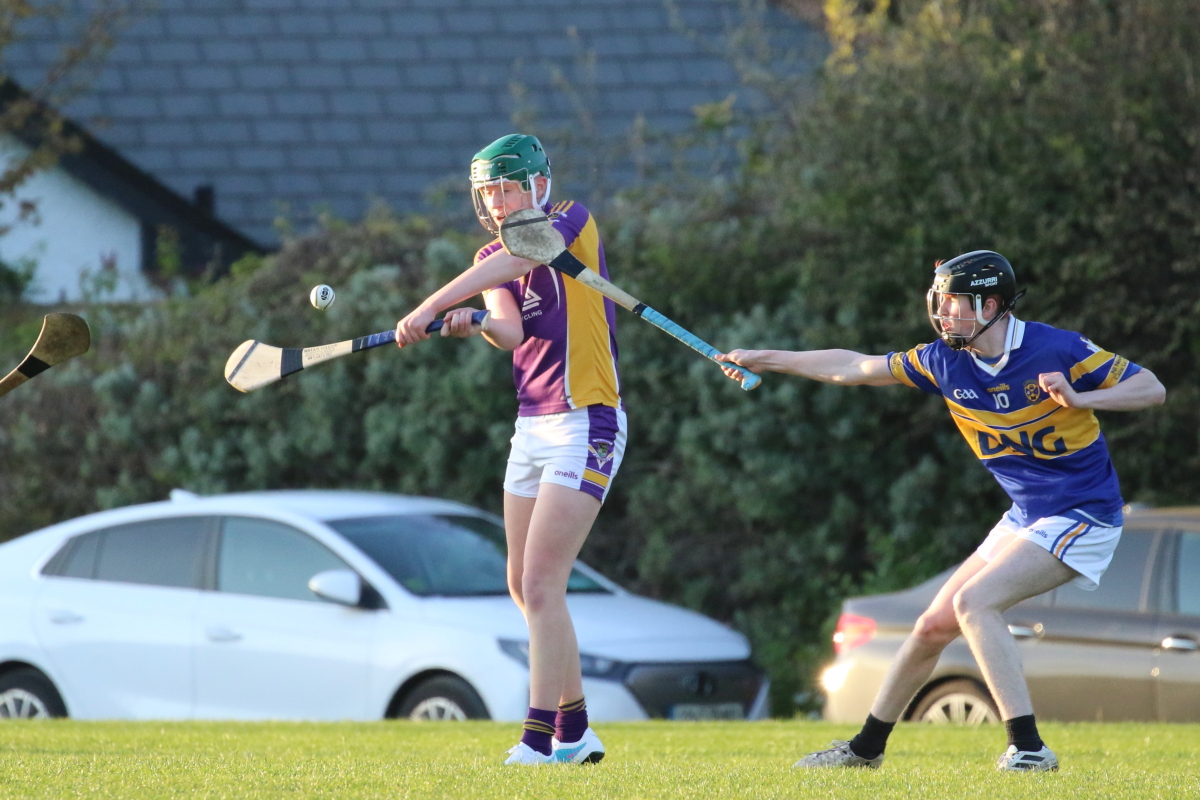 U16 Hurling League Div.6 vs Castleknock