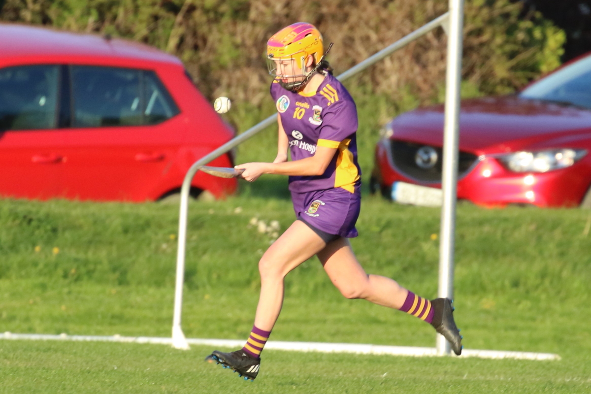 Camogie Inter 2 League vs Naomh Olafs