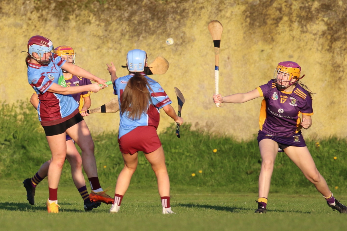 Camogie Inter 2 League vs Naomh Olafs