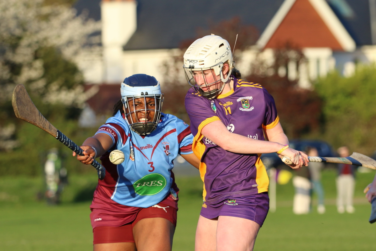 Camogie Inter 2 League vs Naomh Olafs