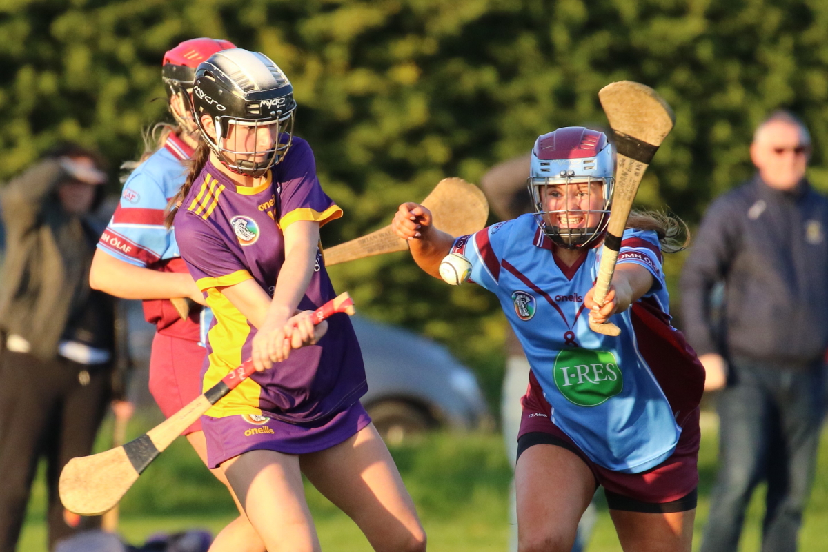 Camogie Inter 2 League vs Naomh Olafs