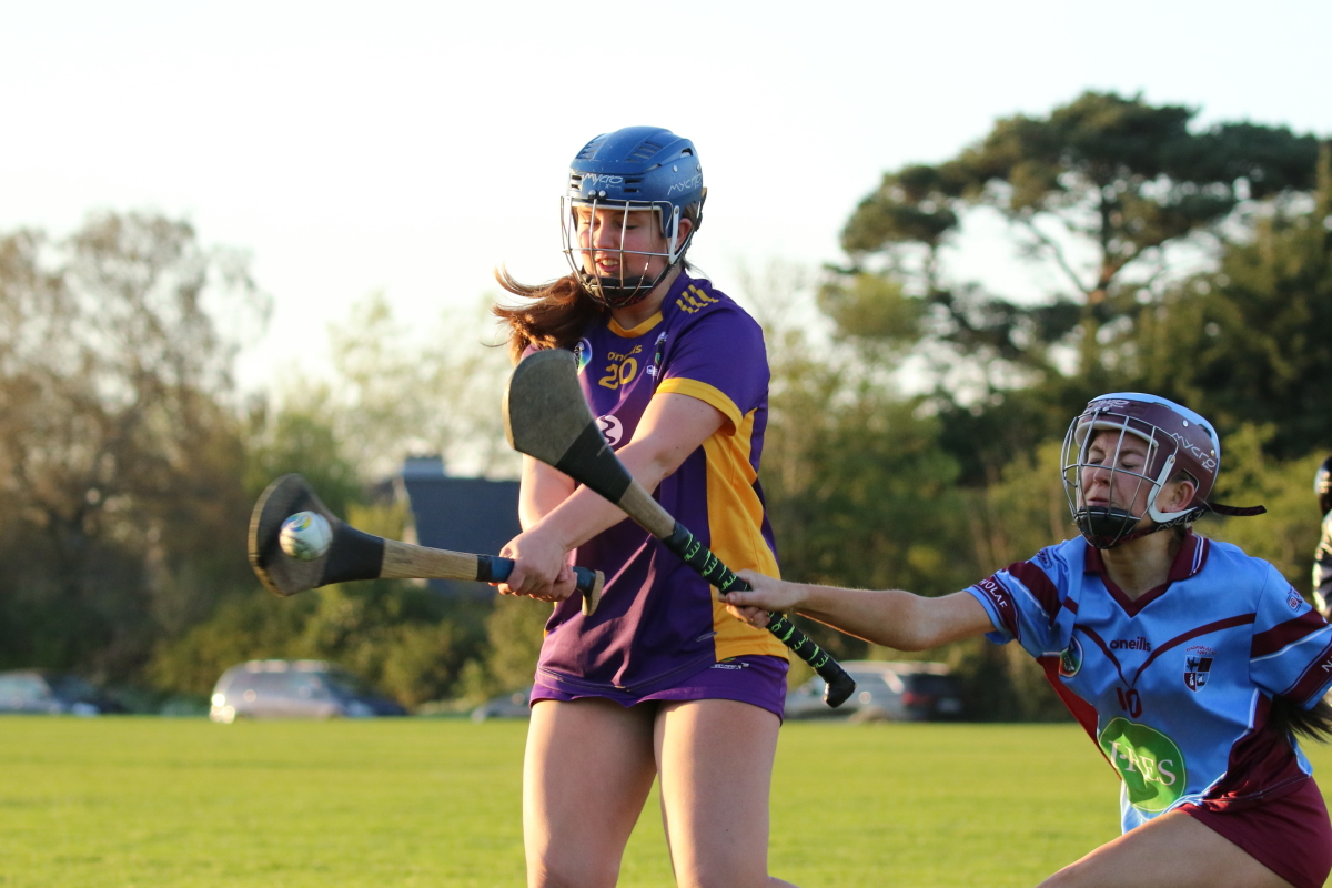 Camogie Inter 2 League vs Naomh Olafs