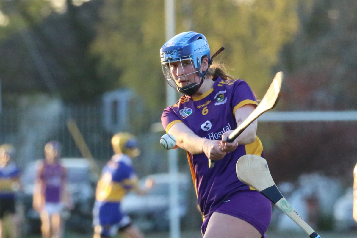 Camogie Inter 2 League vs Naomh Olafs