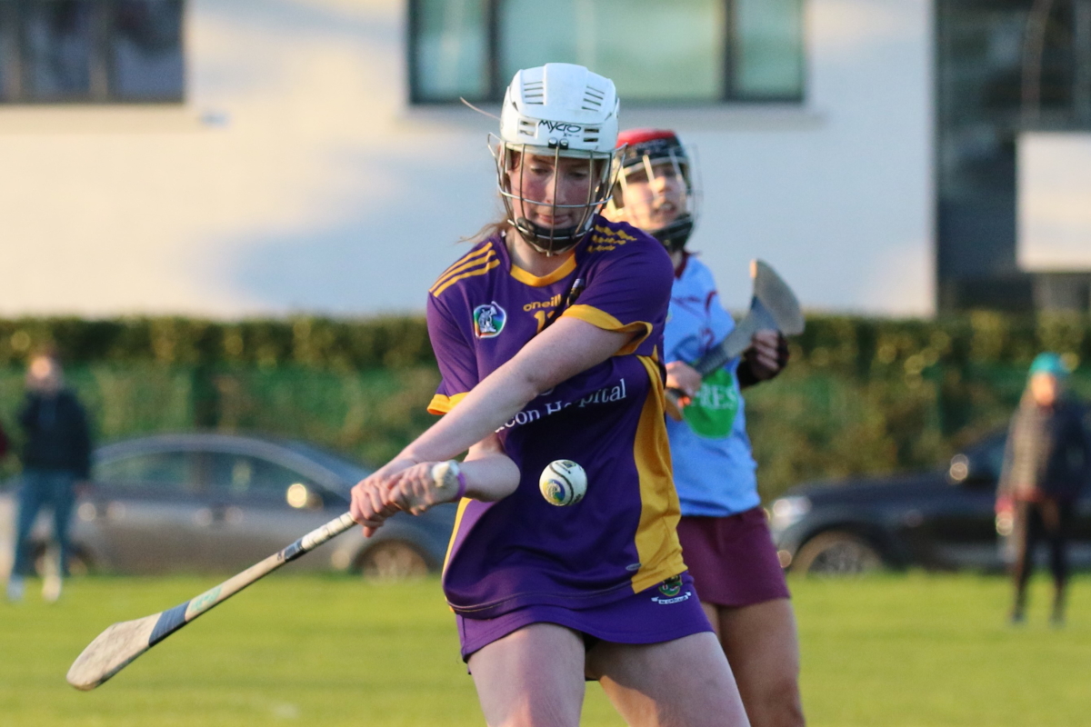 Camogie Inter 2 League vs Naomh Olafs