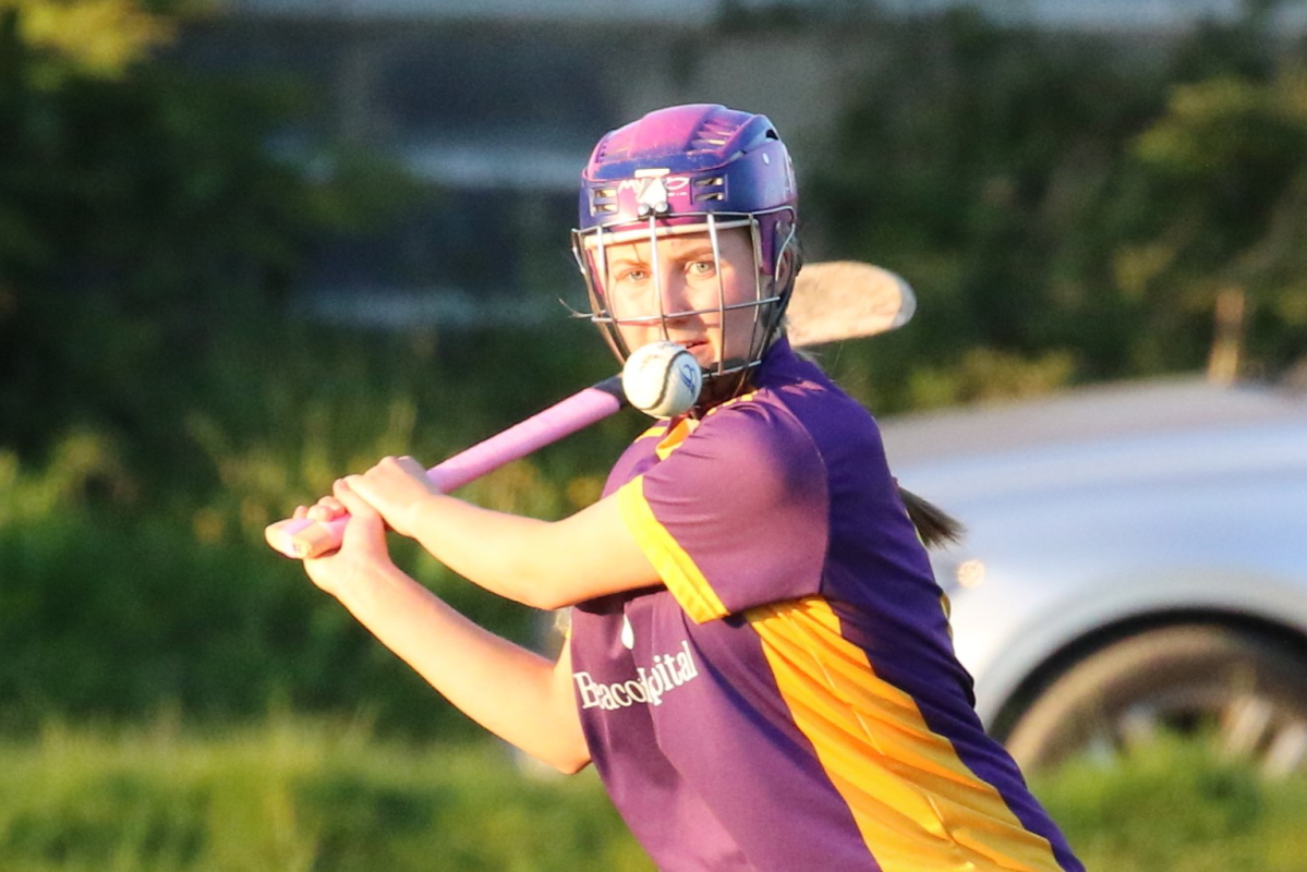 Camogie Inter 2 League vs Naomh Olafs