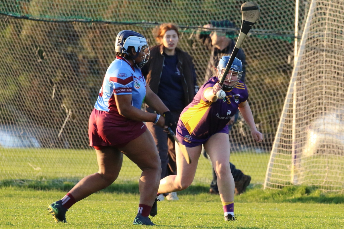 Camogie Inter 2 League vs Naomh Olafs