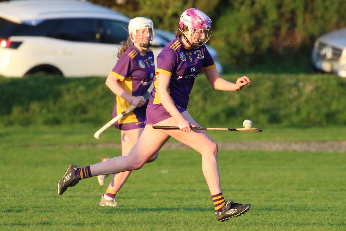 Camogie Inter 2 League vs Naomh Olafs