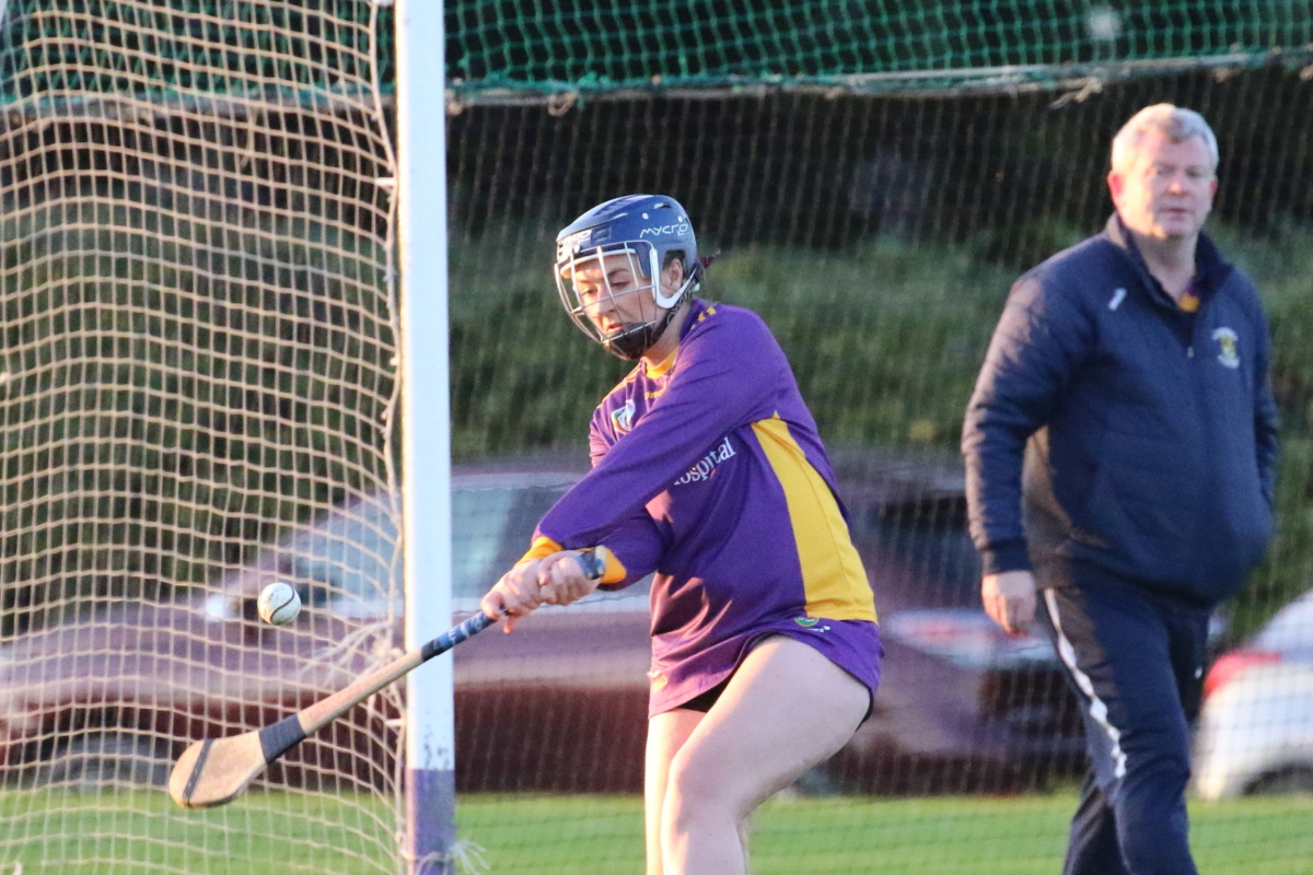 Camogie Inter 2 League vs Naomh Olafs