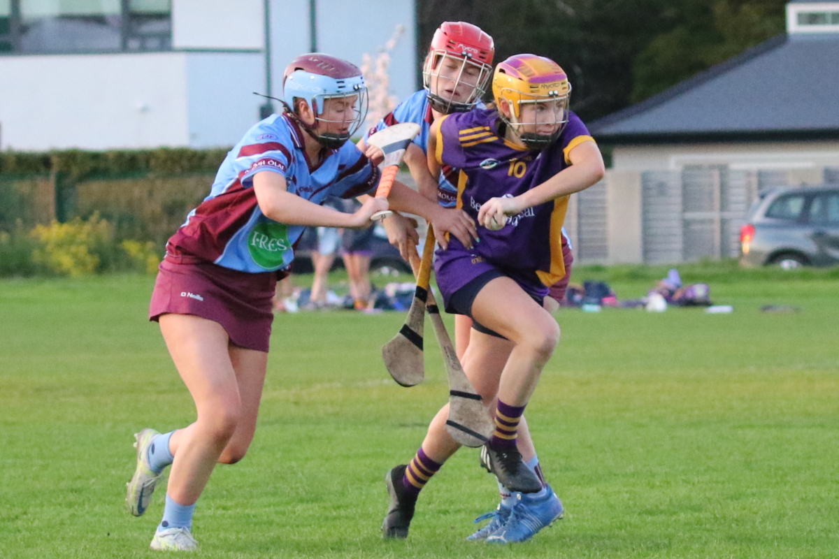 Camogie Inter 2 League vs Naomh Olafs