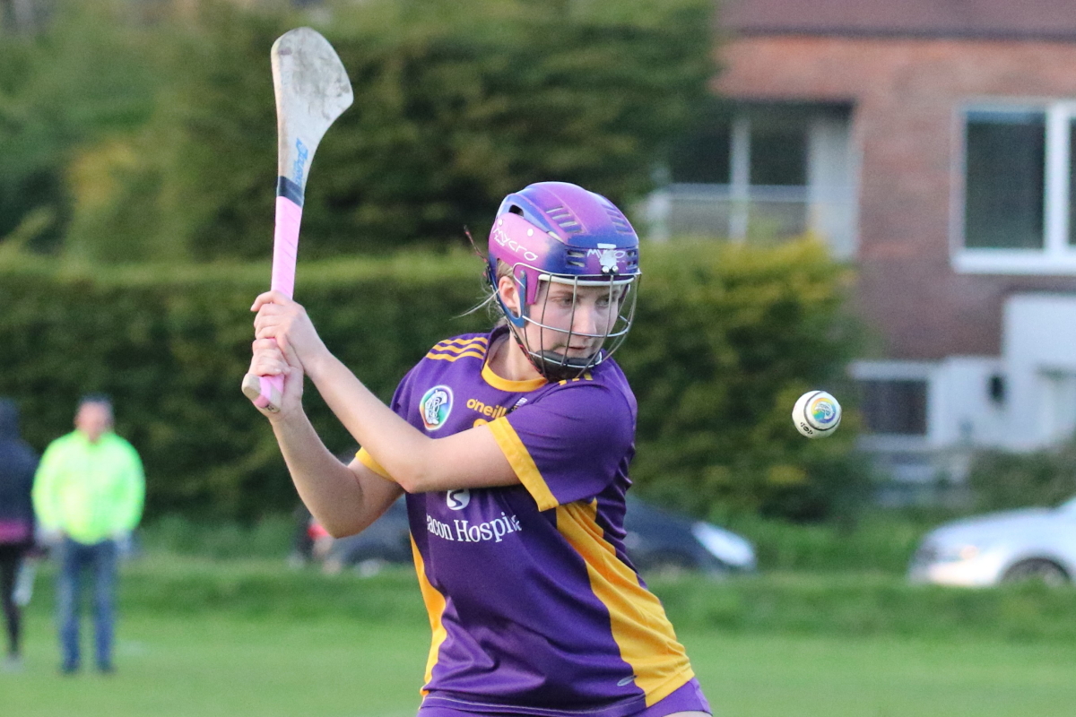 Camogie Inter 2 League vs Naomh Olafs