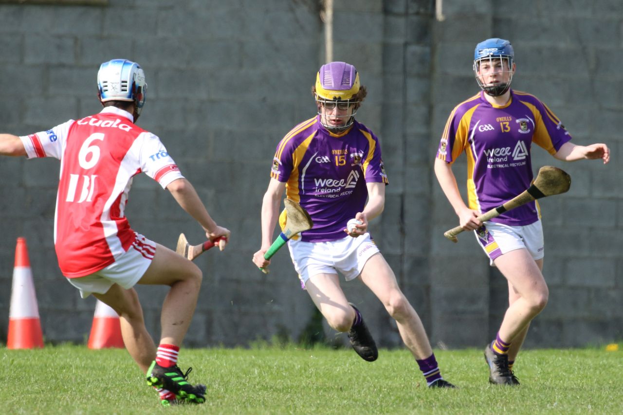 Minor Hurling League Division Six vs Cuala