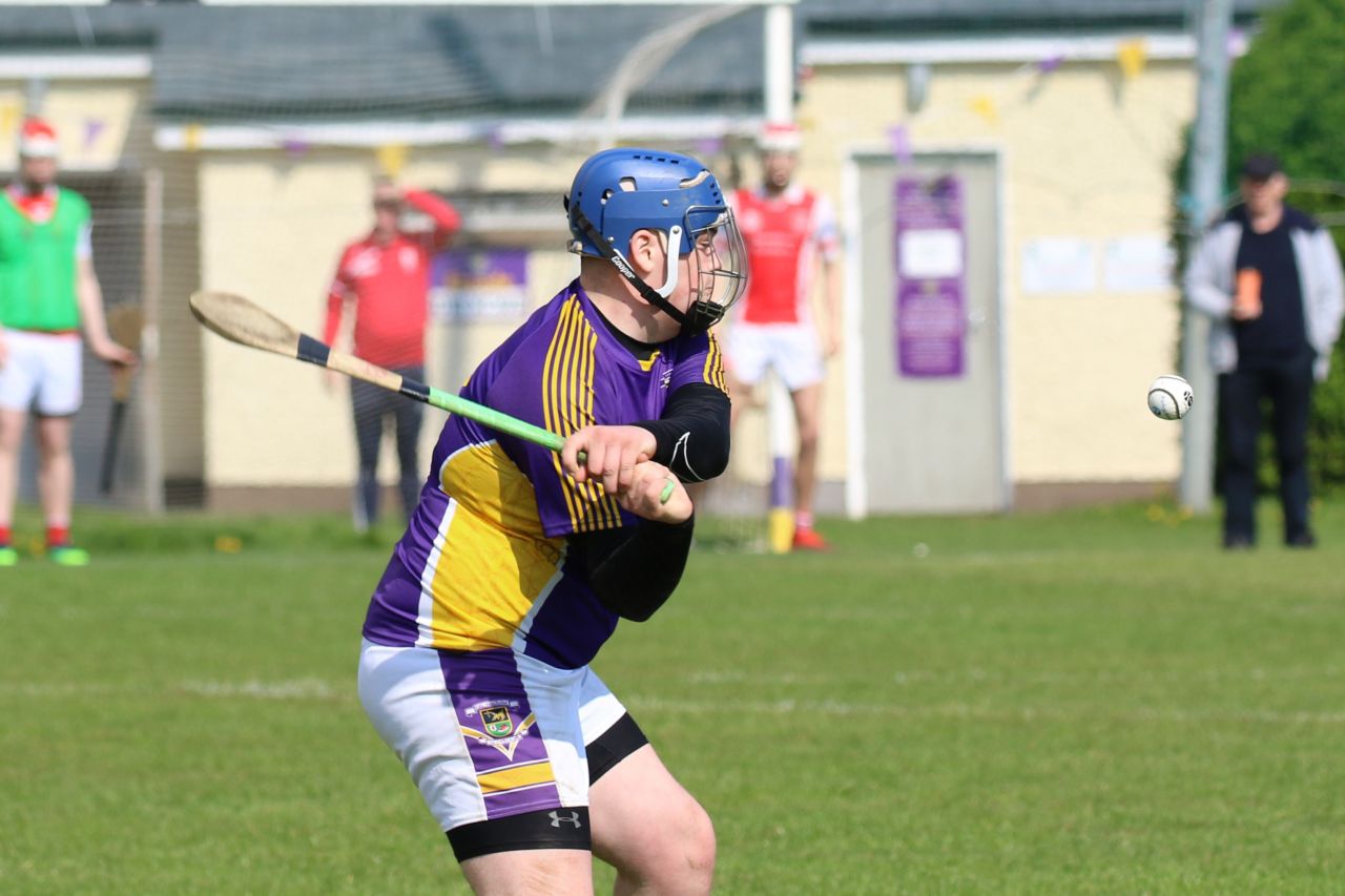 Minor Hurling League Division Six vs Cuala