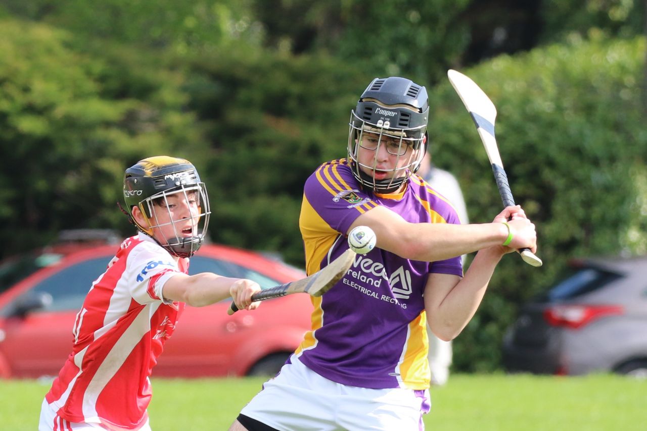 Minor Hurling League Division Six vs Cuala