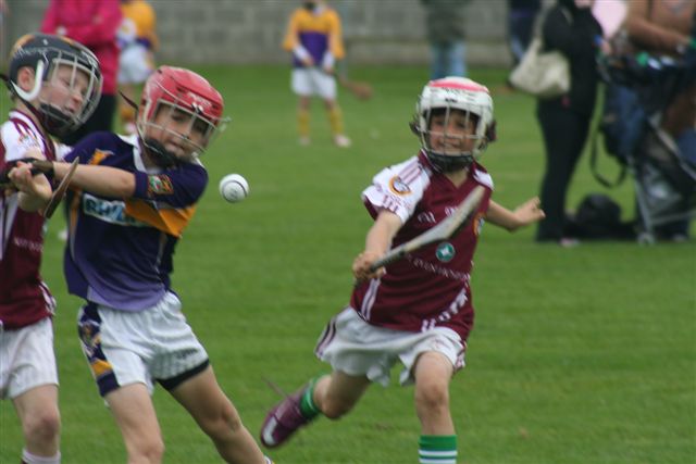 2012-09-15 KC Kilkenny Hurling Blitz 004