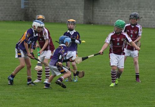 2012-09-15 KC Kilkenny Hurling Blitz 01