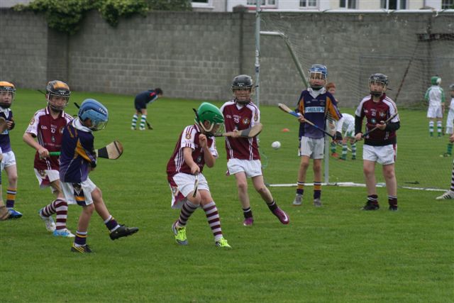 2012-09-15 KC Kilkenny Hurling Blitz 011