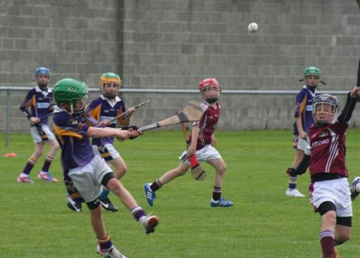 2012-09-15 KC Kilkenny Hurling Blitz 035