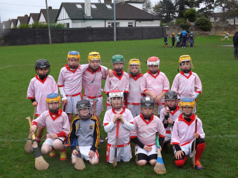 U8FestivalHurling2012 - Durlas Og 2