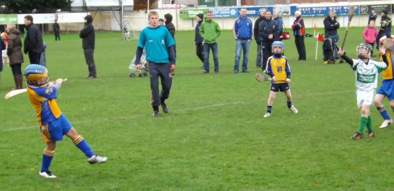 U8FestivalHurling2012 - Kilmacow V Na Fianna