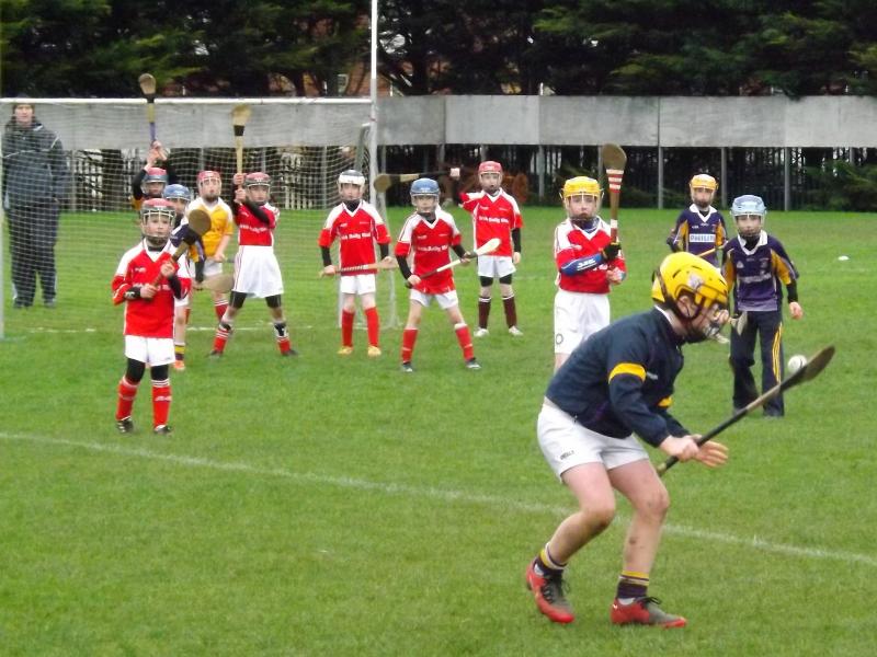 U8FestivalHurling2012 - Kilmacud Crokes V Carnmore