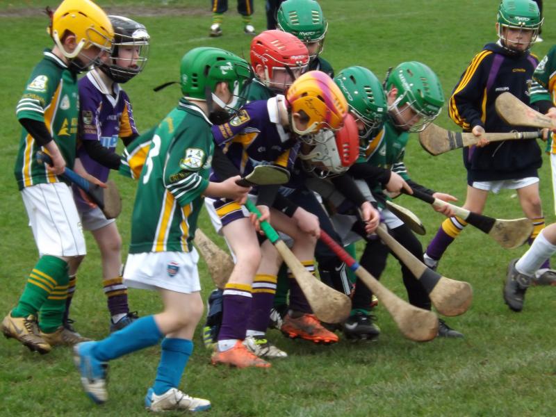 U8FestivalHurling2012 - Kilmacud Crokes V Craughwell 2